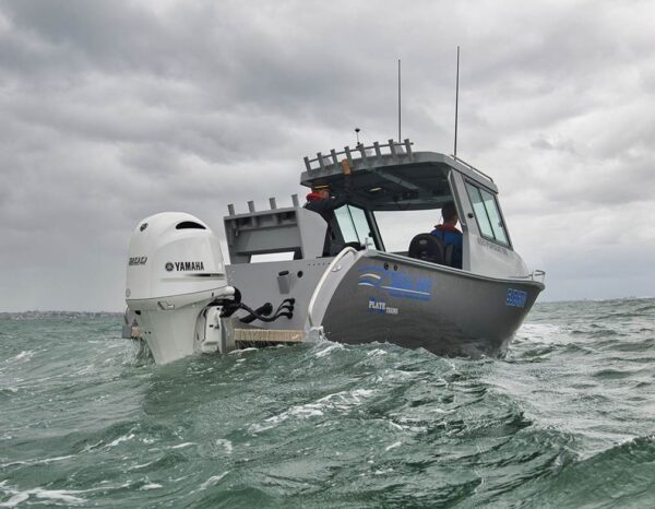 Yamaha F200 In-Line 4 – 25″ Shaft, 2019 model - Image 2