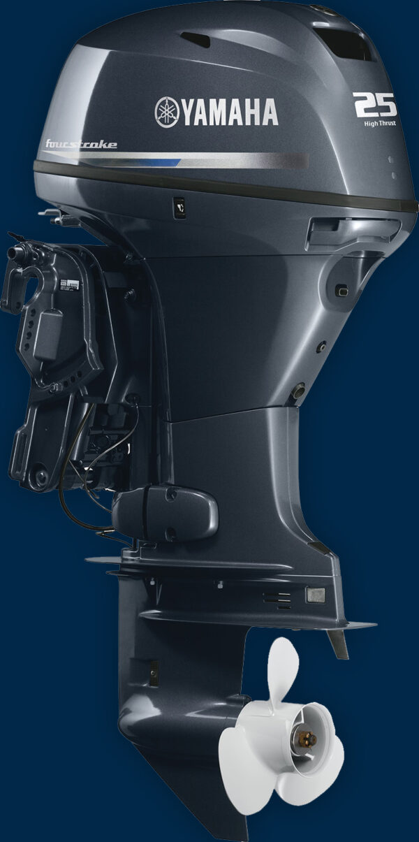 2019 Yamaha T25 – 25″ Shaft - Image 2