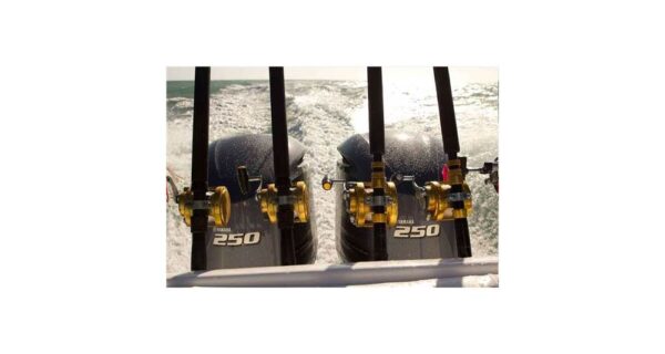 2022 Yamaha F250B – 30″ Shaft - Image 3