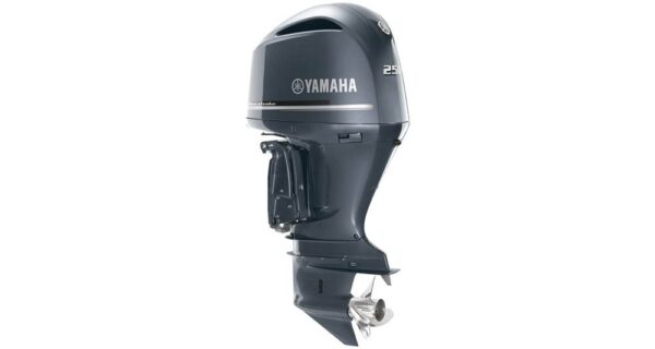 Yamaha F250 V6 – 30″ Shaft, 2019 Model