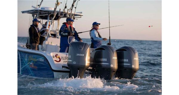 Yamaha F300 V6 – 30″ Shaft, 2019 Model - Image 4